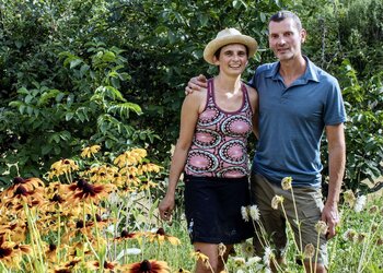 Top Vakantiehuizen | Bed and Breakfast