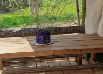 Top Vakantiehuizen | Bed and Breakfast