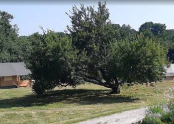 Top Vakantiehuizen | Bed and Breakfast
