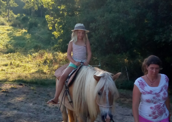 Top Vakantiehuizen | Bed and Breakfast