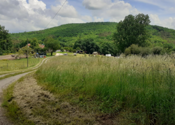 Top Vakantiehuizen | Bed and Breakfast