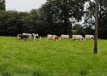 Top Vakantiehuizen | Bed and Breakfast