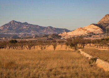 Top Vakantiehuizen | Bed and Breakfast