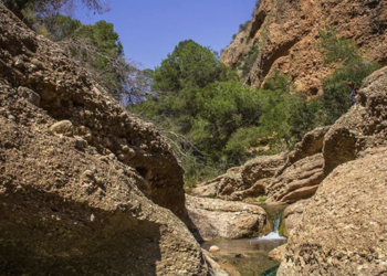 Top Vakantiehuizen | Bed and Breakfast