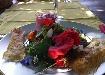 Top Vakantiehuizen | Bed and Breakfast