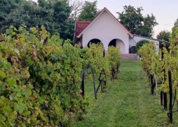 Top Vakantiehuizen | Bed and Breakfast