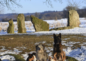 Top Vakantiehuizen | Bed and Breakfast