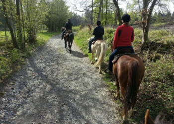 Top Vakantiehuizen | Bed and Breakfast
