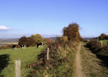 Top Vakantiehuizen | Bed and Breakfast