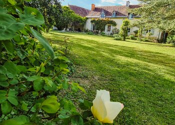 Top Vakantiehuizen | Bed and Breakfast