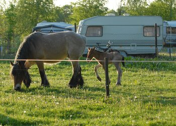 Top Vakantiehuizen | Bed and Breakfast