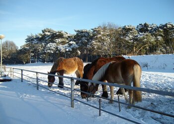Top Vakantiehuizen | Bed and Breakfast