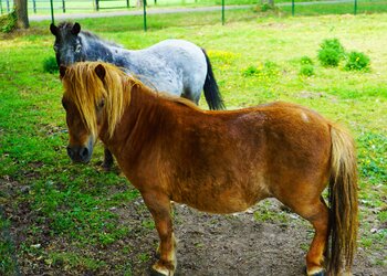 Top Vakantiehuizen | Bed and Breakfast