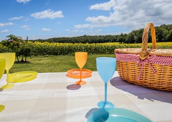 Top Vakantiehuizen | Bed and Breakfast