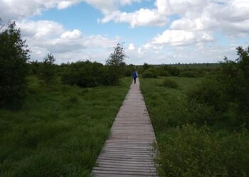 Top Vakantiehuizen | Bed and Breakfast