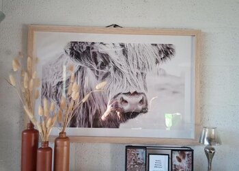 Top Vakantiehuizen | Bed and Breakfast