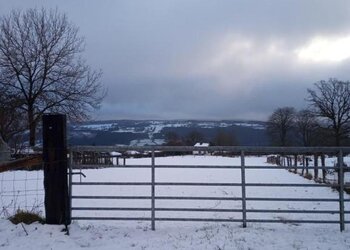 Top Vakantiehuizen | Bed and Breakfast