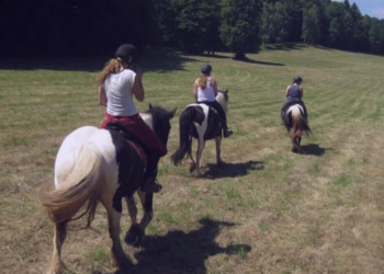 Top Vakantiehuizen | Bed and Breakfast