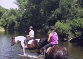 Top Vakantiehuizen | Bed and Breakfast