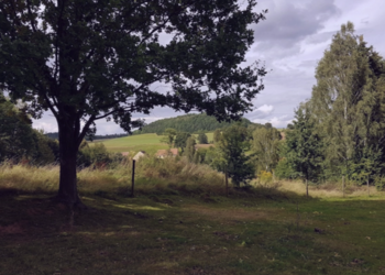 Top Vakantiehuizen | Bed and Breakfast