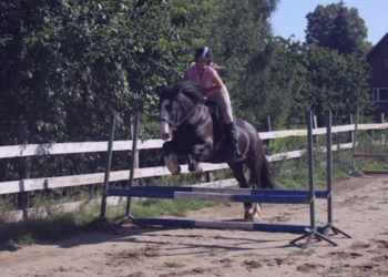 Top Vakantiehuizen | Bed and Breakfast