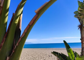 Top Vakantiehuizen | Bed and Breakfast