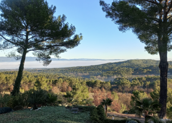 Top Vakantiehuizen | Bed and Breakfast