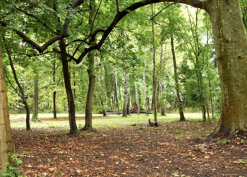 Top Vakantiehuizen | Bed and Breakfast