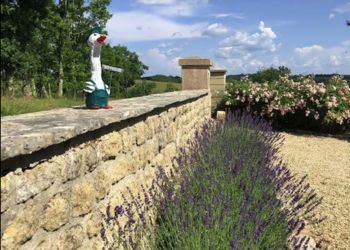 Top Vakantiehuizen | Bed and Breakfast
