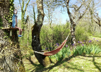 Top Vakantiehuizen | Bed and Breakfast