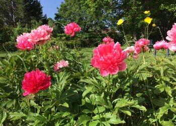 Top Vakantiehuizen | Bed and Breakfast