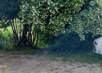 Top Vakantiehuizen | Bed and Breakfast