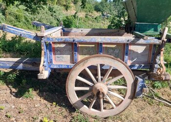 Top Vakantiehuizen | Bed and Breakfast