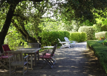 Top Vakantiehuizen | Bed and Breakfast