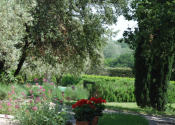 Top Vakantiehuizen | Bed and Breakfast