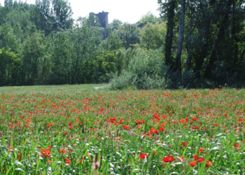 Top Vakantiehuizen | Bed and Breakfast