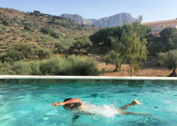 Top Vakantiehuizen | Bed and Breakfast