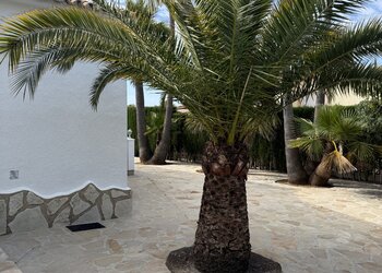 Top Vakantiehuizen | Bed and Breakfast