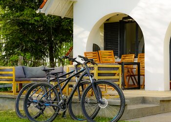 Top Vakantiehuizen | Bed and Breakfast