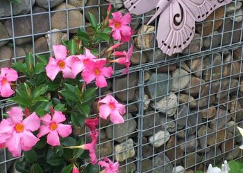 Top Vakantiehuizen | Bed and Breakfast