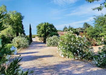 Top Vakantiehuizen | Bed and Breakfast