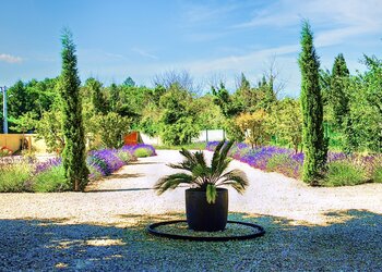 Top Vakantiehuizen | Bed and Breakfast