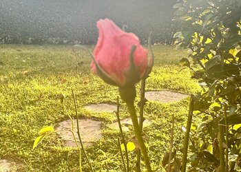 Top Vakantiehuizen | Bed and Breakfast