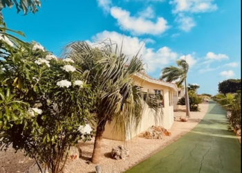 Top Vakantiehuizen | Bed and Breakfast