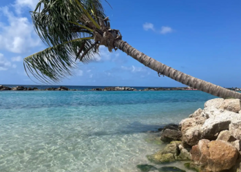 Top Vakantiehuizen | Bed and Breakfast