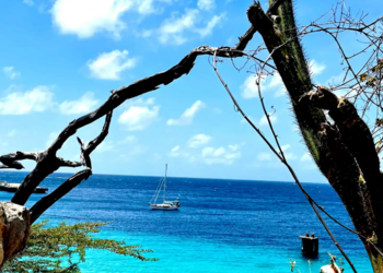 Top Vakantiehuizen | Bed and Breakfast