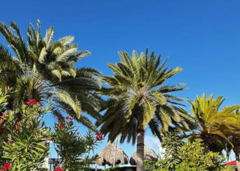 Top Vakantiehuizen | Bed and Breakfast