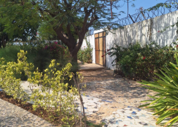 Top Vakantiehuizen | Bed and Breakfast