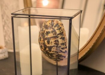 Top Vakantiehuizen | Bed and Breakfast