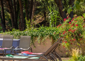 Top Vakantiehuizen | Bed and Breakfast